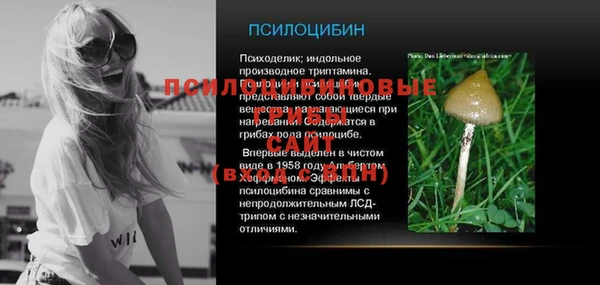крисы Осташков