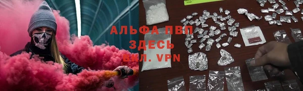 крисы Осташков