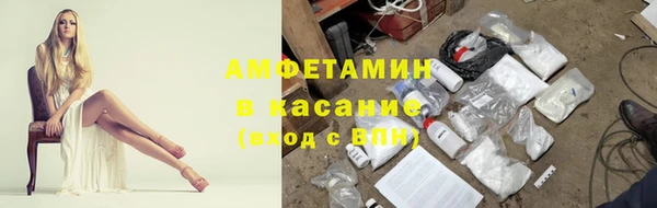 крисы Осташков