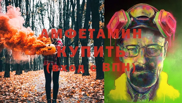 крисы Осташков