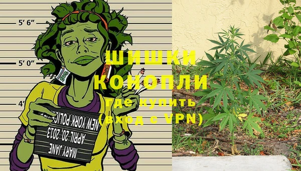 крисы Осташков