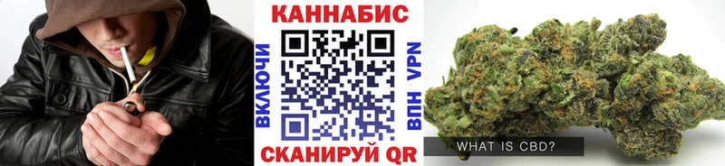 Конопля OG Kush  Купить закладки  Краснообск 